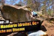 Le mandarin (droite), 6c+